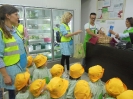 Ida ao bolinho e confeção - creche_4