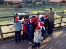 Passeio à Quinta de Natal_6