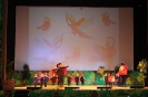 Festa de Reis - A Selva_13