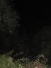Acampamento_25
